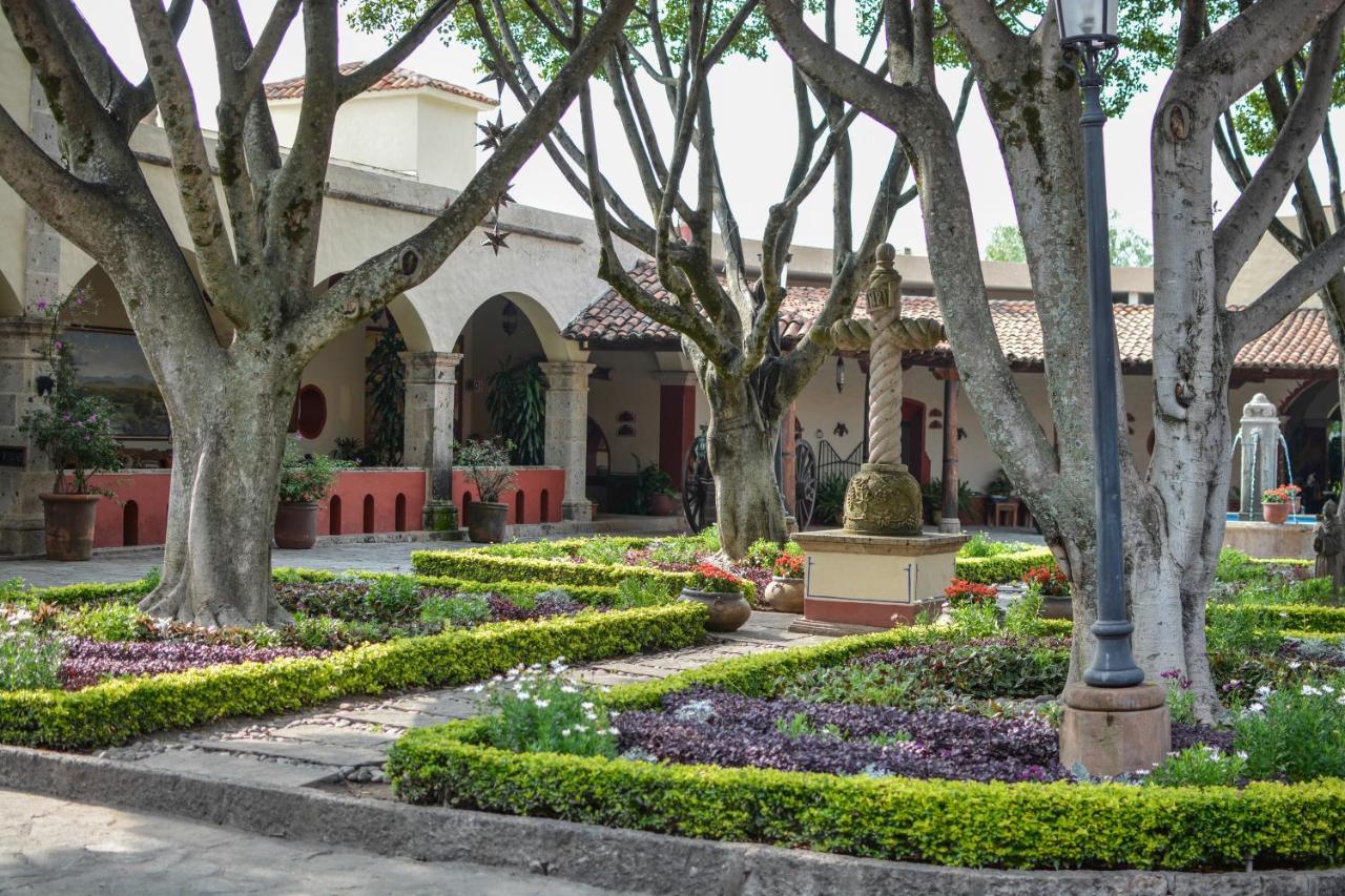 San Lorenzo  Defranca Alojamiento Boutique מראה חיצוני תמונה